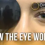 How the Eye Works A Fascinating Journey of Vision